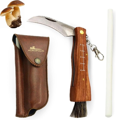 Coltello fungo acropoli - a,